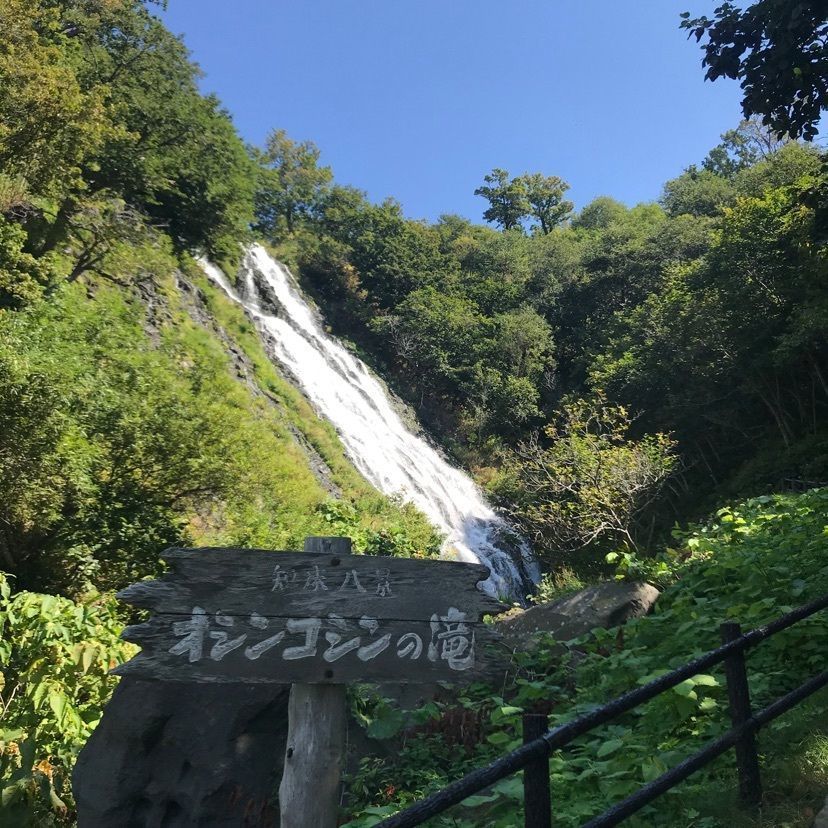 ドンペリニョンさんが投稿した道の駅 うとろ・シリエトクに関する口コミの画像