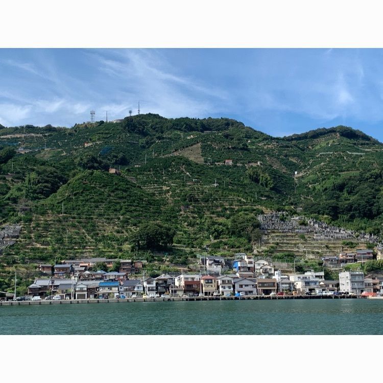 96_take4さんが投稿した八水蒲鉾 どーや市場店（ハッスイカマボコ）に関する口コミの画像