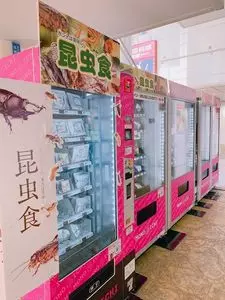 メガ ケバブ 大須1号店（Mega Kebab）