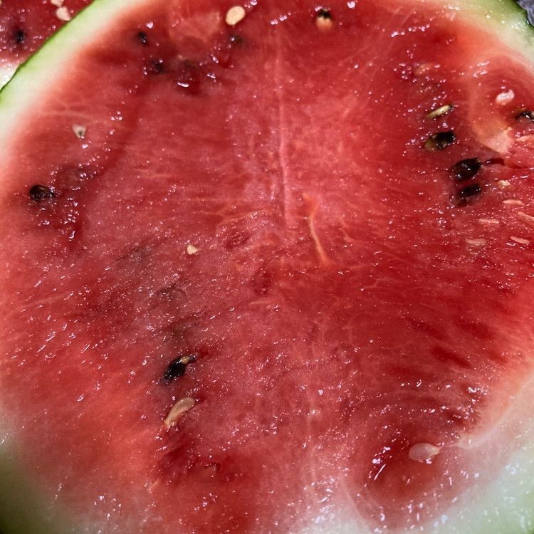 佳さんが投稿したティンカーベルに関する口コミの画像