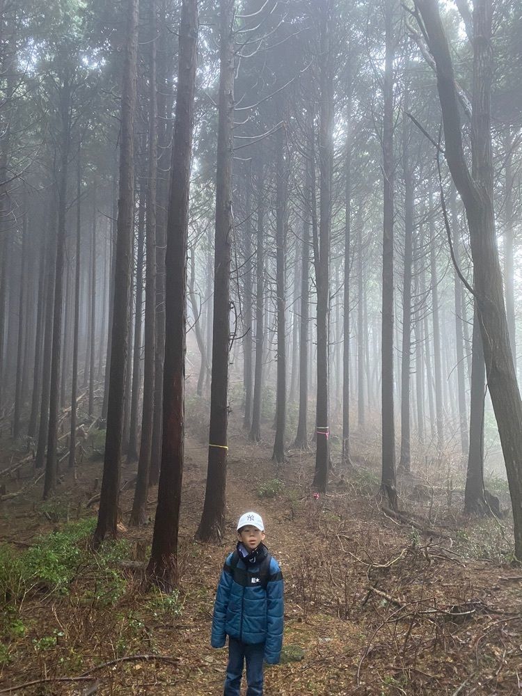あるふぃすたさんが投稿した鷹ノ巣山（広島県東広島市）に関する口コミの画像
