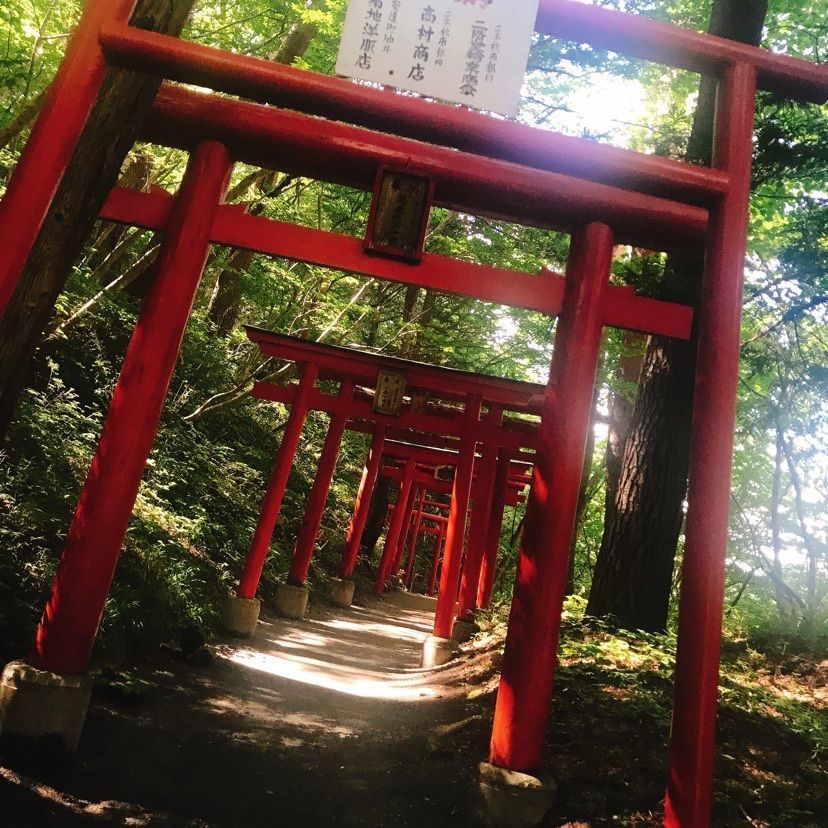 猫なぎ。さんが投稿した白石市に関する口コミの画像