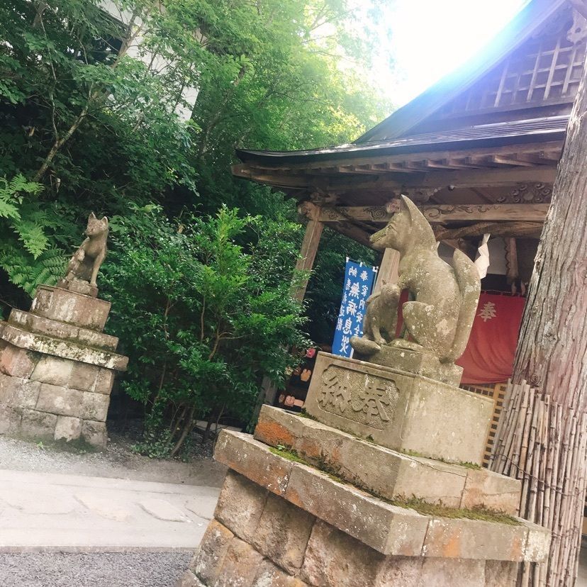 猫なぎ。さんが投稿した白石市に関する口コミの画像