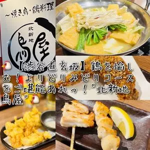 北新地 鳥屋 渋谷道玄坂店（きたしんち とりや）