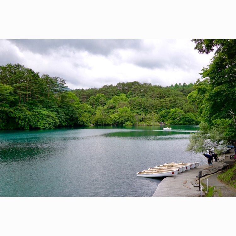 Ⓜ︎ocochanの画像