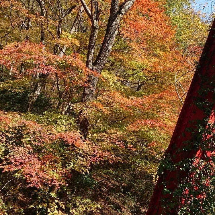 junkunさんが投稿した帝釈峡に関する口コミの画像