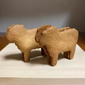 焼き菓子屋さん トリドリ