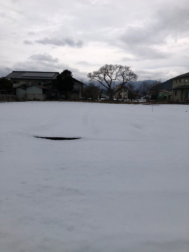からっ風②さんが投稿した春駒に関する口コミの画像