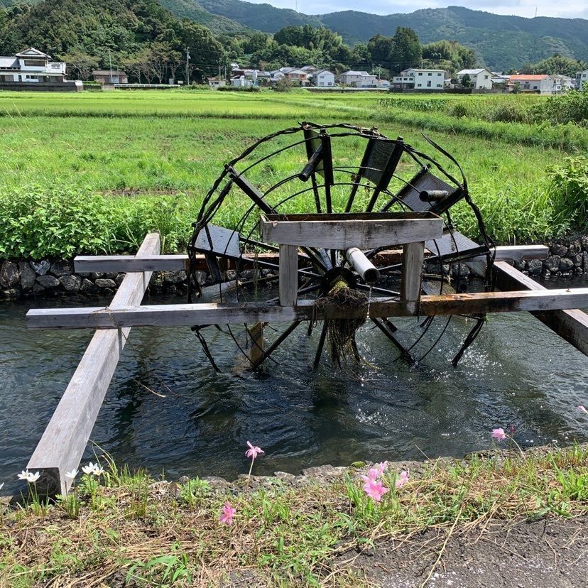 メリーさんが投稿した安並水車の里に関する口コミの画像