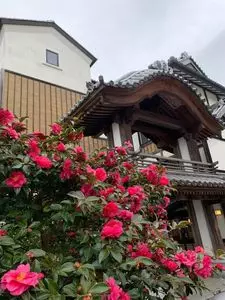 いわき湯本温泉 さはこの湯