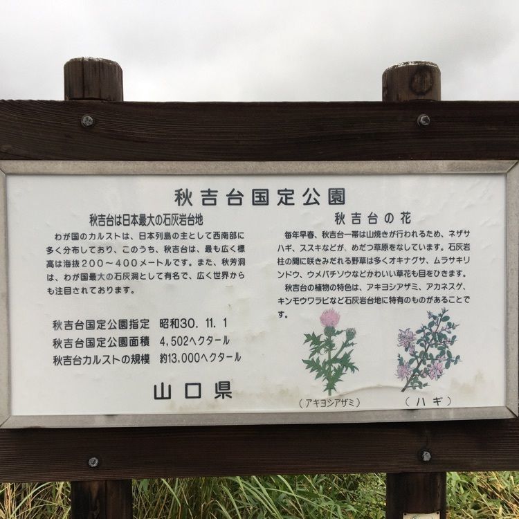 みーなさんが投稿した秋吉台国定公園に関する口コミの画像