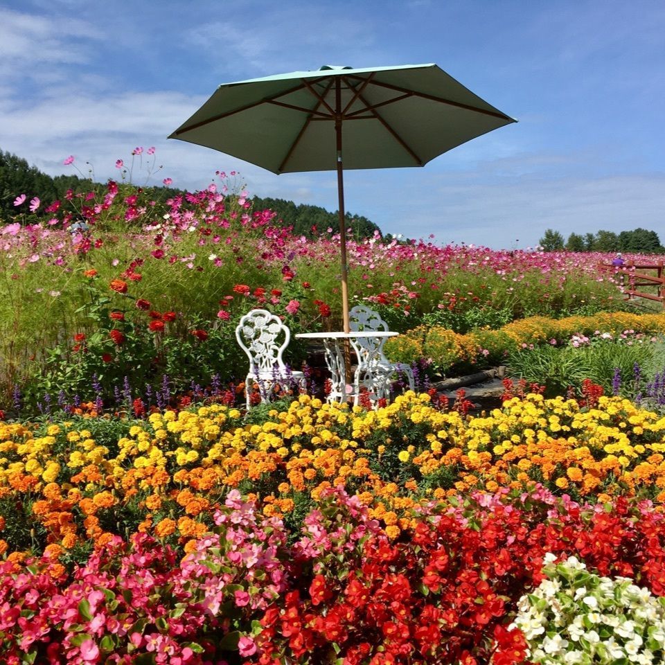 yoshiさんが投稿した太陽の丘えんがる公園「虹のひろば」に関する口コミの画像