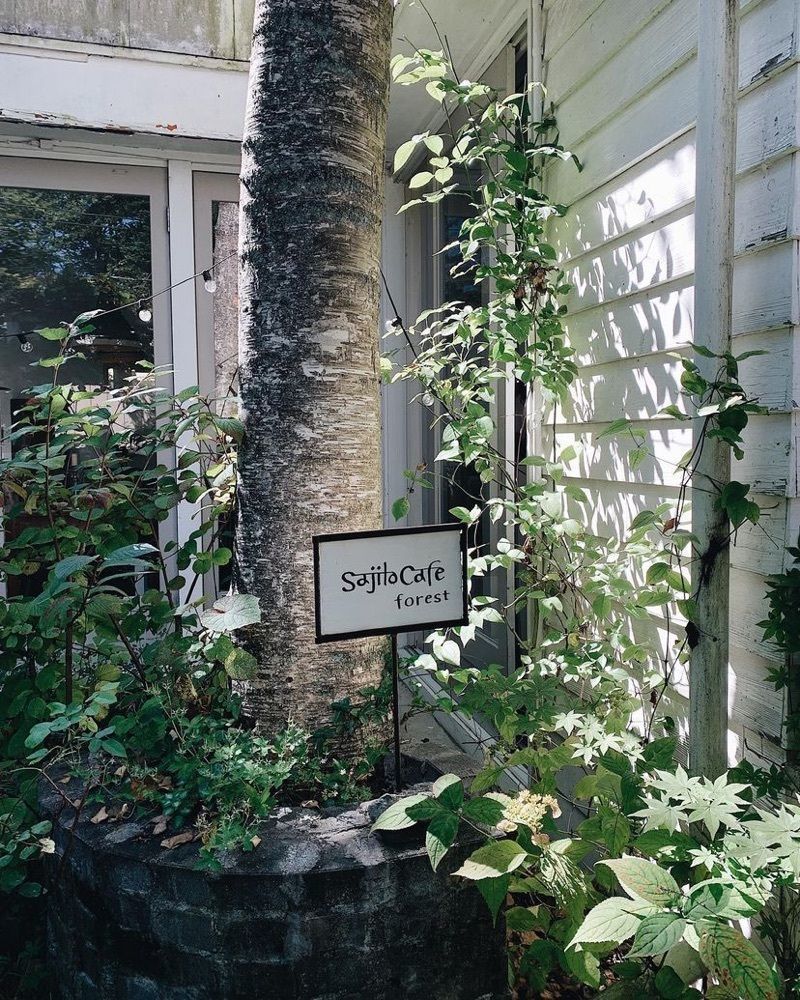 おでかけ探検部さんが投稿したsajilo cafe forestに関する口コミの画像