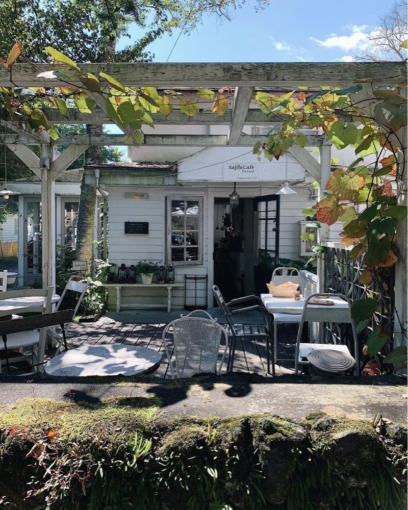 おでかけ探検部さんが投稿したsajilo cafe forestに関する口コミの画像