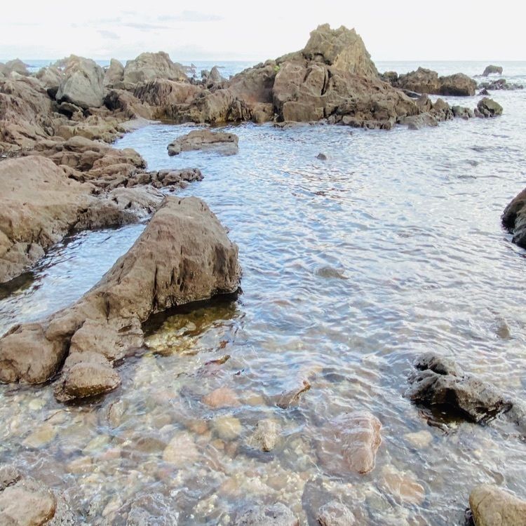 riepyonさんが投稿した三ツ石海岸に関する口コミの画像