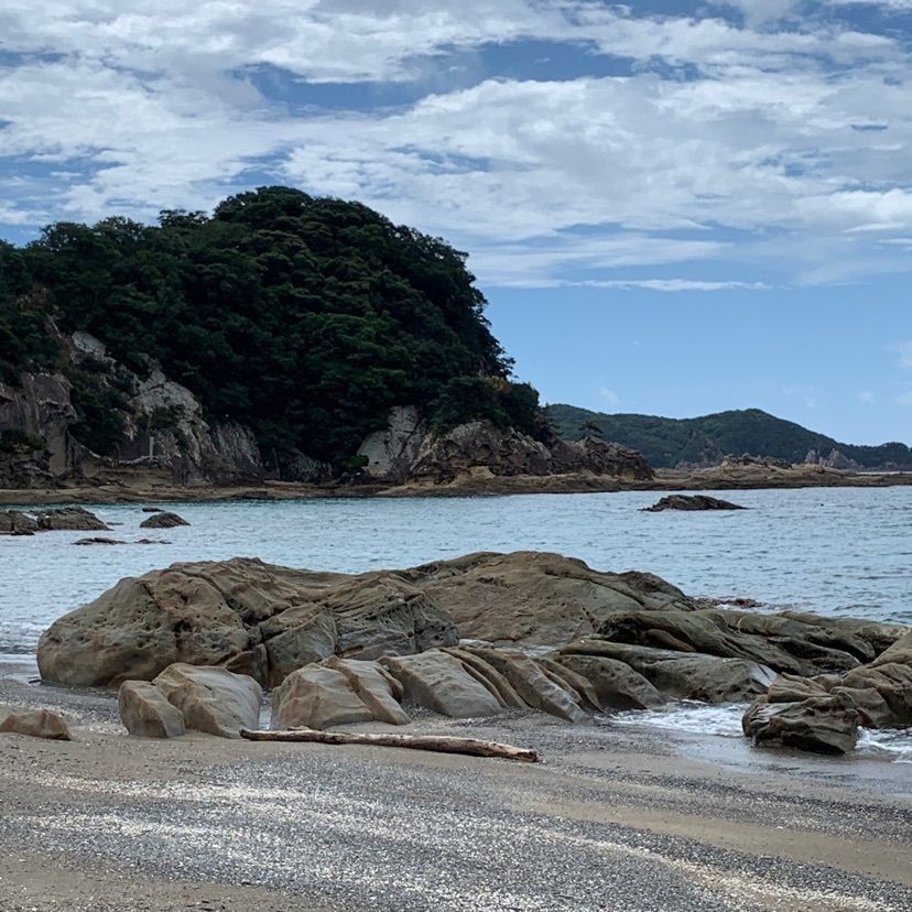 メリーさんが投稿した竜串海域公園に関する口コミの画像