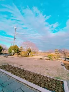 柴又公園