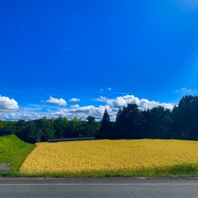 Plusさんが投稿したご当地ファーム山の駅　大山望に関する口コミの画像