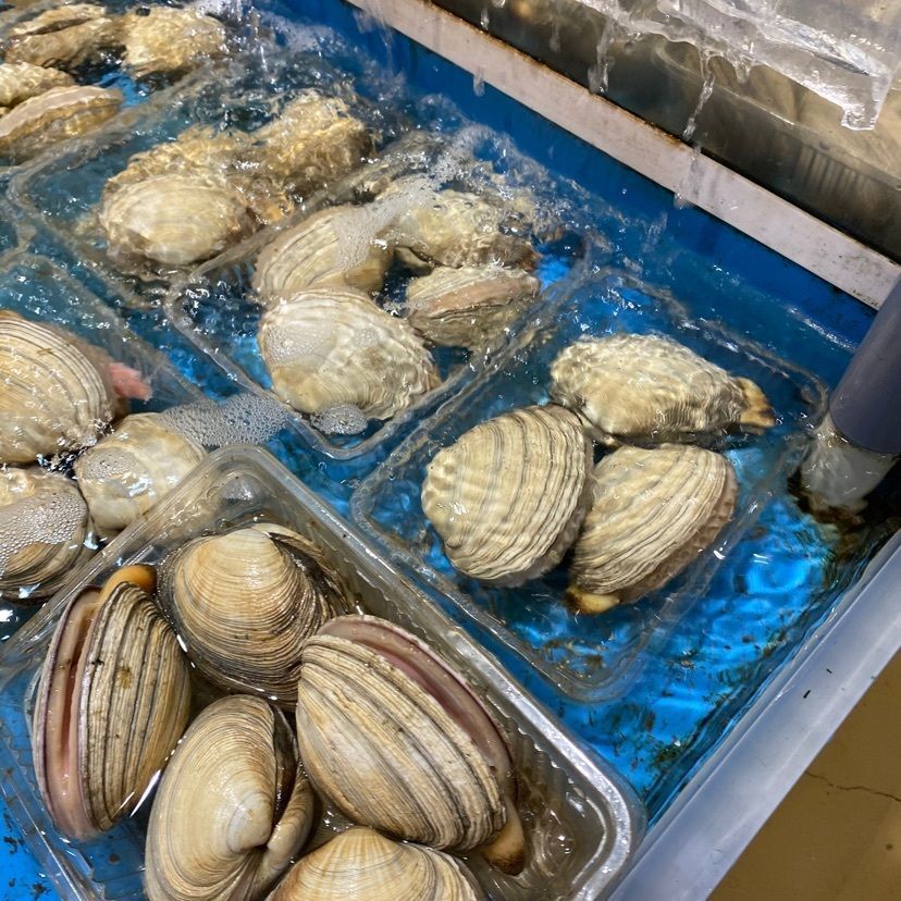 モグモグさんが投稿した魚太郎 市場食堂に関する口コミの画像
