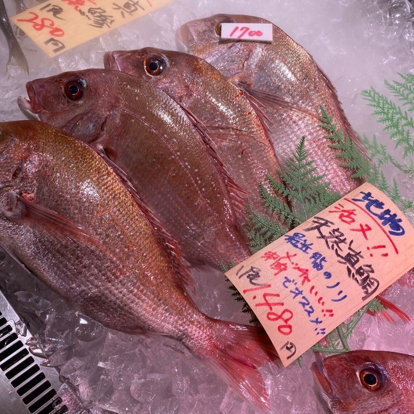 モグモグさんが投稿した魚太郎 市場食堂に関する口コミの画像