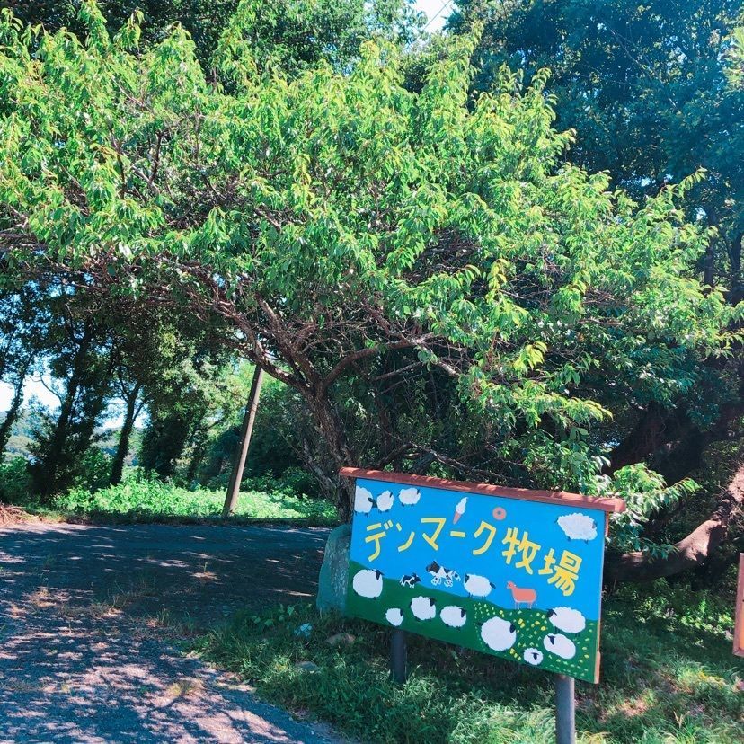 よぴらさんが投稿したデンマーク牧場に関する口コミの画像