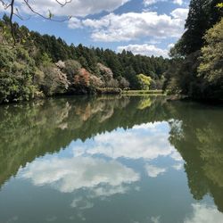 茨城 秘密の庭園 ロケ地にもなった英国風景式庭園 七ツ洞公園 Aumo アウモ