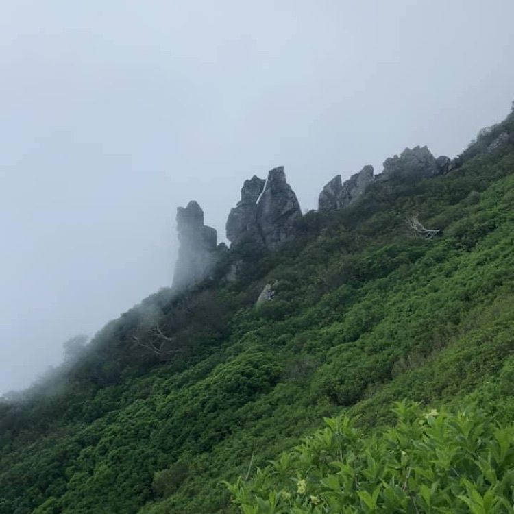 ＤＪゴン太さんが投稿した大雪山（黒岳）に関する口コミの画像
