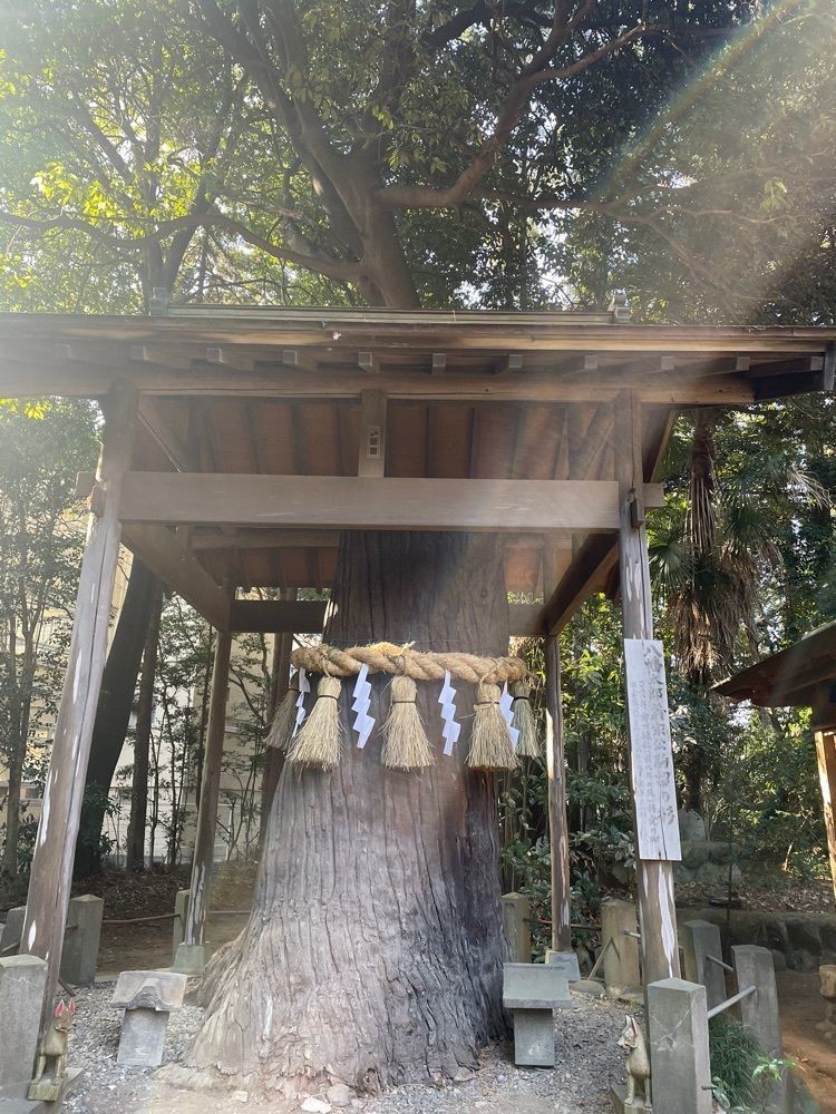 Momotaroさんが投稿した文殊寺に関する口コミの画像