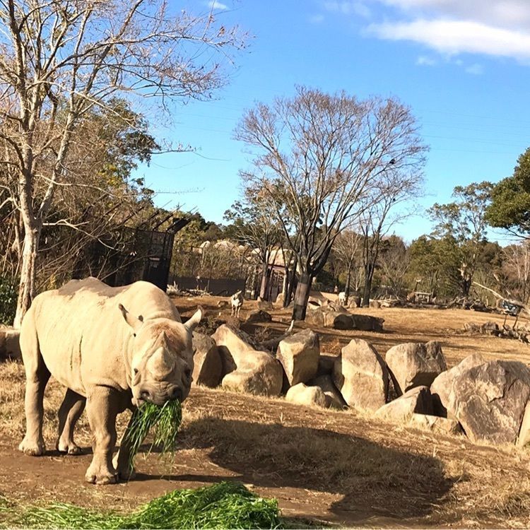 favoriteKさんが投稿したよこはま動物園ズーラシアに関する口コミの画像