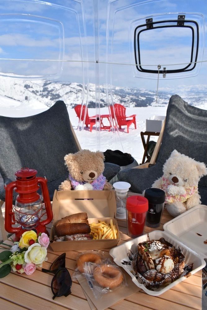 🎀🧸Teddy K Bear🧸🎀さんが投稿した石打丸山スキー場に関する口コミの画像