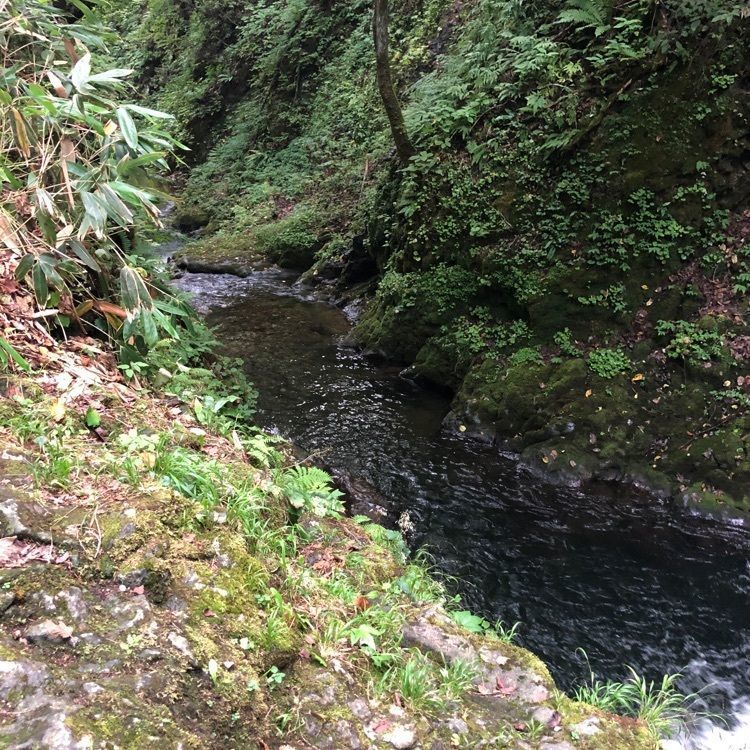 kazu&kinakoさんが投稿した平和の滝に関する口コミの画像