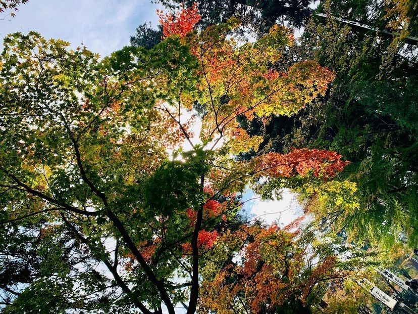 おでかけ探検部さんが投稿しためいらく苑 入舟町に関する口コミの画像
