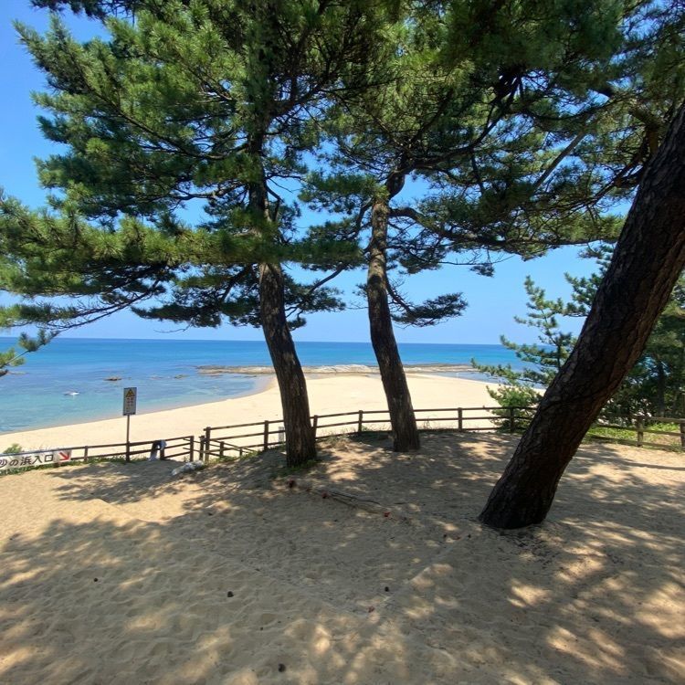 fresh_lucky_f82dさんが投稿した琴引浜掛津海水浴場に関する口コミの画像