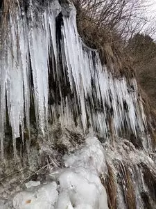 梨木館