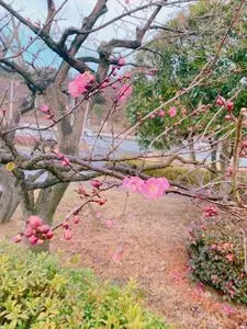 偕楽園公園センター