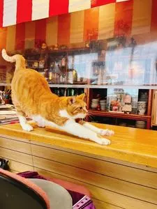 農家そば屋 ごすけ（ノウカソバヤゴスケ）