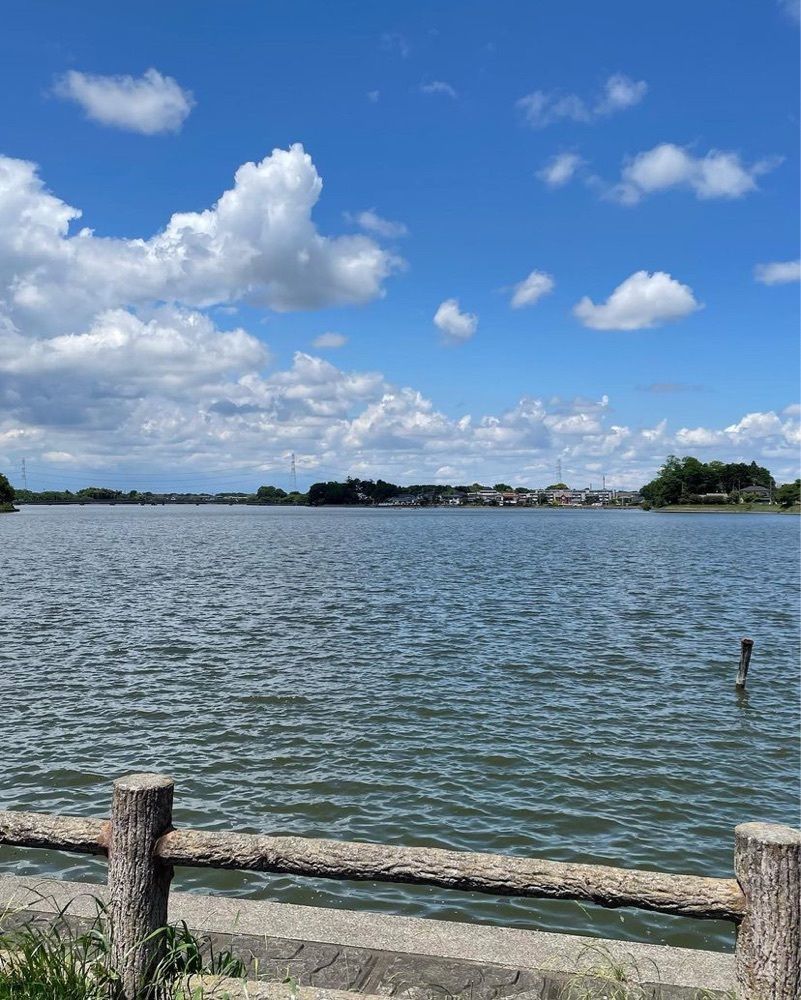 おでかけ探検部さんが投稿した芽キャベツ 砂沼公園通り店（メキャベツ）に関する口コミの画像