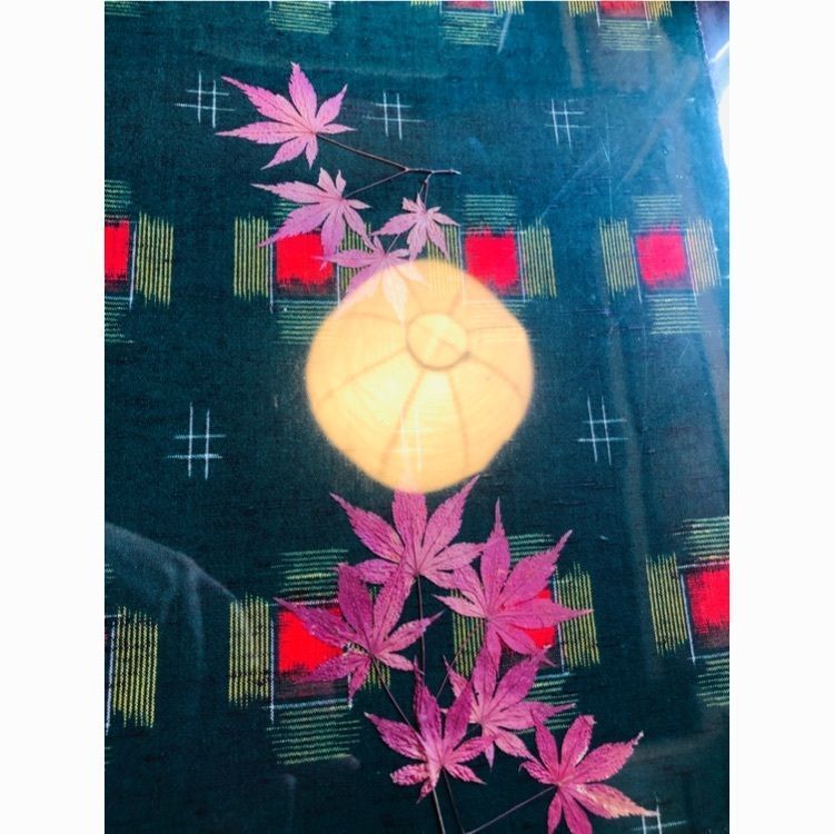 サトツルさんが投稿した楓（カエデ）に関する口コミの画像