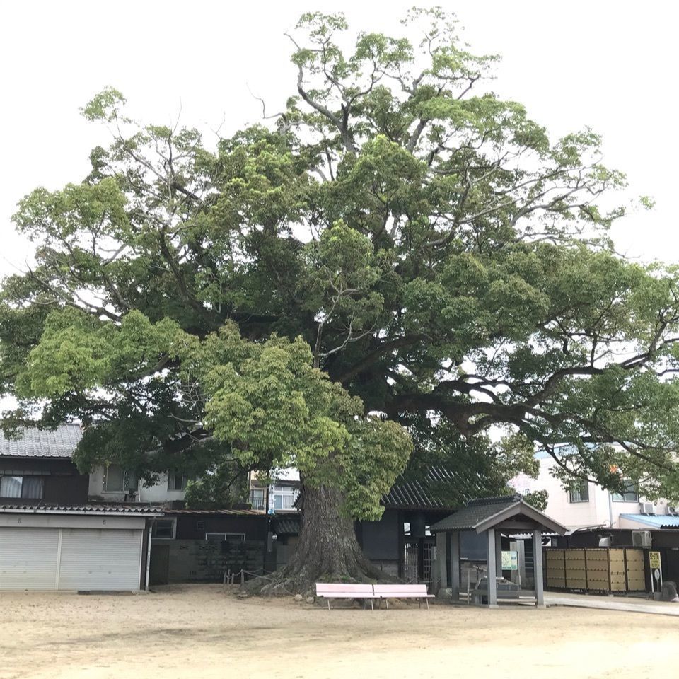 warm_village_b69fさんが投稿した長尾寺に関する口コミの画像