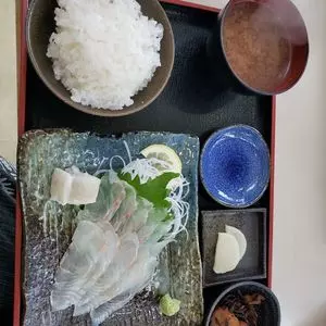 フィッシュテラス　はし長（ハシチョウ）