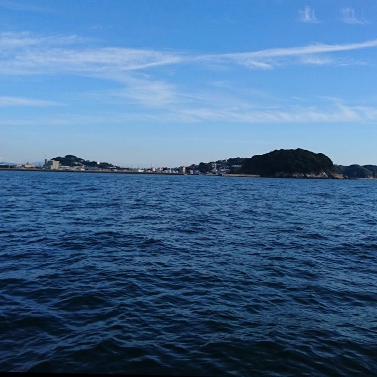 ＤＪゴン太さんが投稿した篠島つり天国に関する口コミの画像