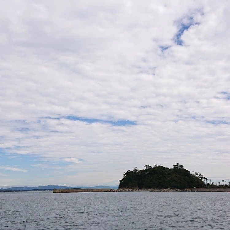 ＤＪゴン太さんが投稿した篠島つり天国に関する口コミの画像