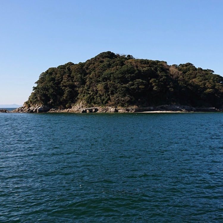 ＤＪゴン太さんが投稿した篠島つり天国に関する口コミの画像