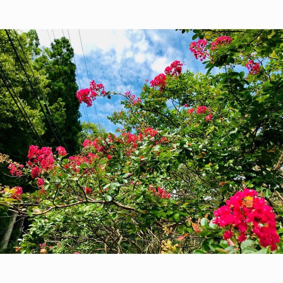ＫMＴKさんが投稿したクアハウス熊野本宮に関する口コミの画像