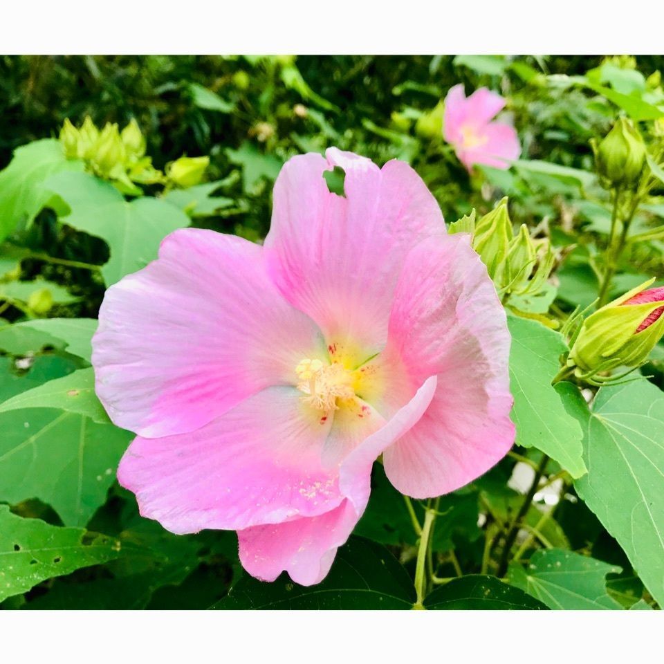 ＫMＴKさんが投稿したクアハウス熊野本宮に関する口コミの画像