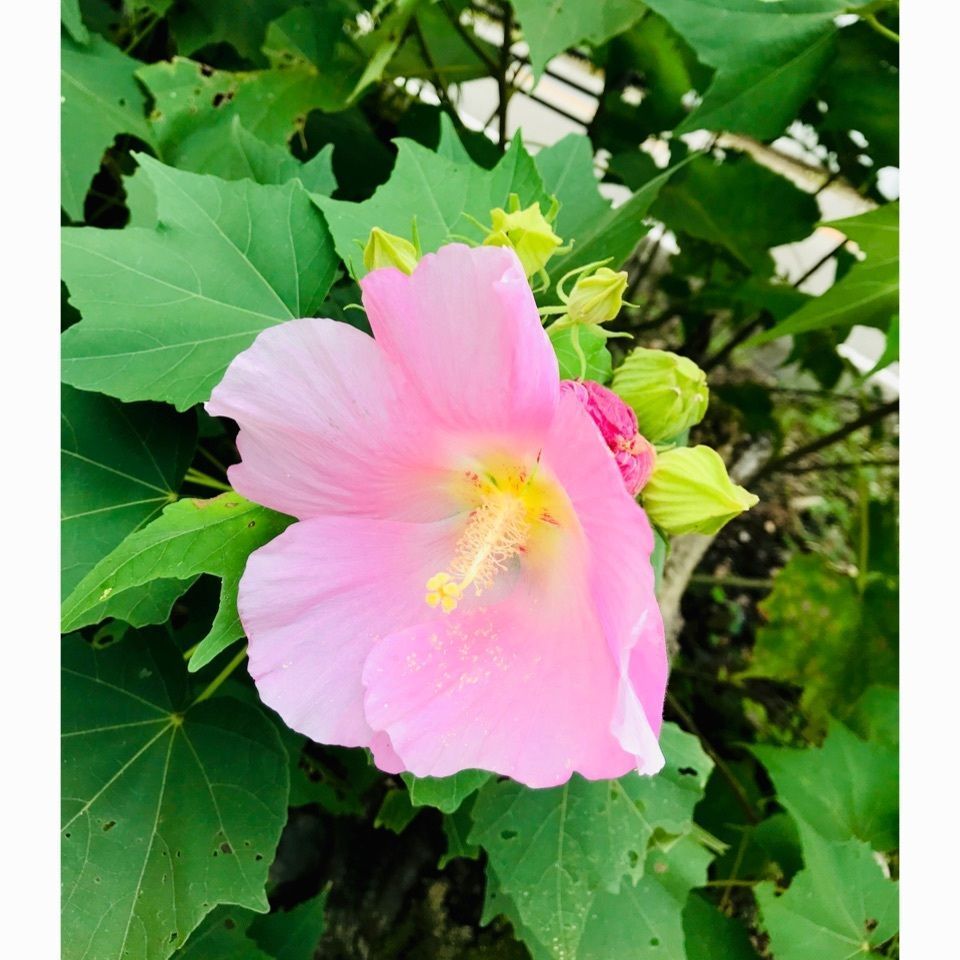 ＫMＴKさんが投稿したクアハウス熊野本宮に関する口コミの画像