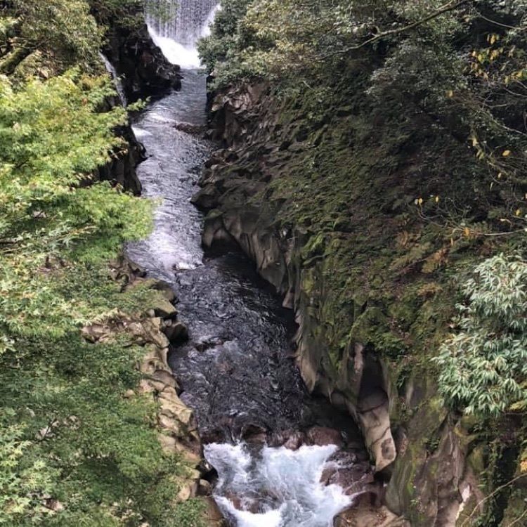 ＤＪゴン太さんが投稿した長田峡に関する口コミの画像
