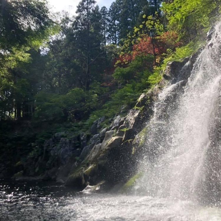ＤＪゴン太さんが投稿した長田峡に関する口コミの画像