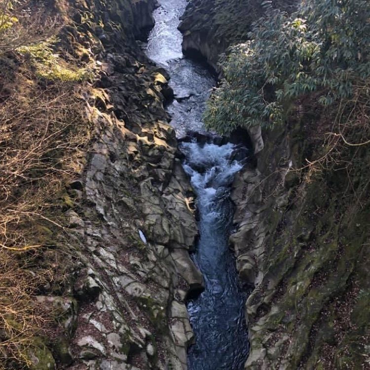 ＤＪゴン太さんが投稿した長田峡に関する口コミの画像