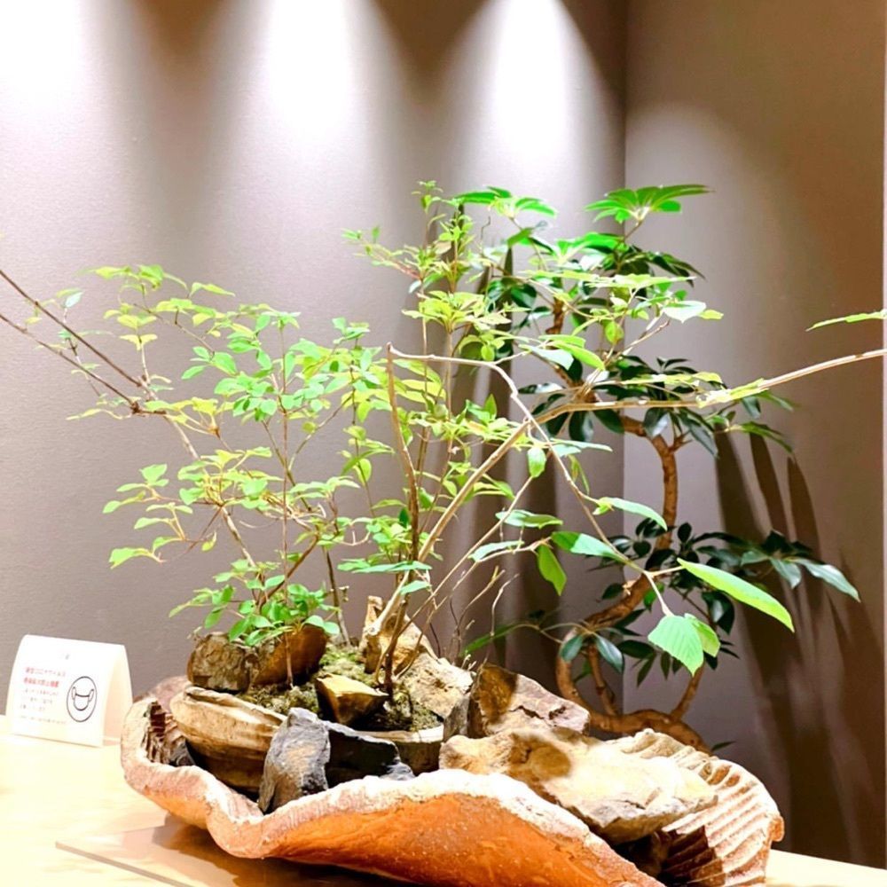 おでかけ探検部さんが投稿したあつた蓬莱軒 松坂屋地下店（あつたほうらいけん）に関する口コミの画像
